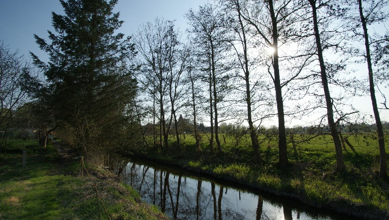 Ferienhaus Nusse - Landschaft