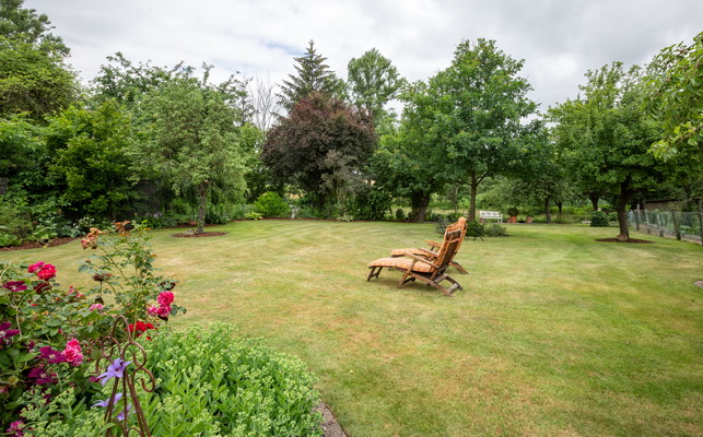 Ferienhaus Nusse - Achtern witten Tuun - Garten